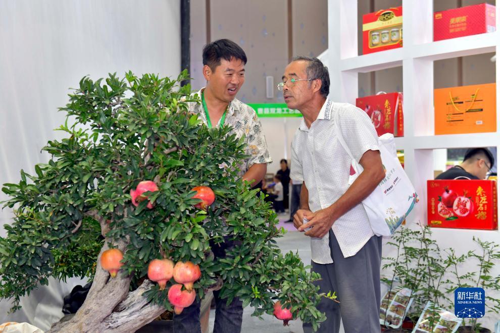 搜狗浏览器